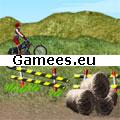 Moto Rallye SWF Game